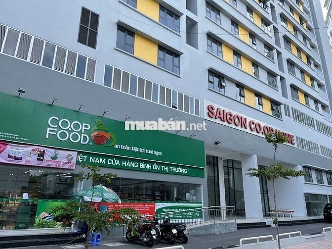 🏡Sài Gòn Coop Home [Giò hàng 3 căn] 2Pn1Wc Nội Thất Cơ Bản #2.8 Tỷ Xem