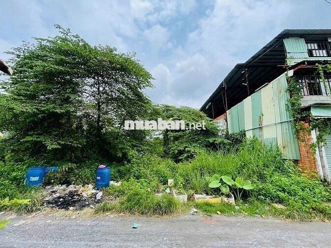 VỢ CHỒNG LY DỊ BÁN GẤP 480 TRIỆU LÔ MT TỈNH LỘ 2, CỦ CHI 160m2, SHR