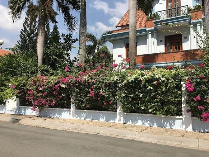 Cần bán nền biệt thự KDC Huy Hoàng dt 286m2 giá 194tr/m2