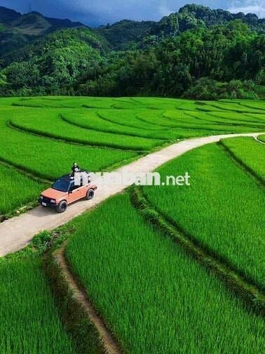 420m măt tiền đg nhua.  xac đg vành đai.