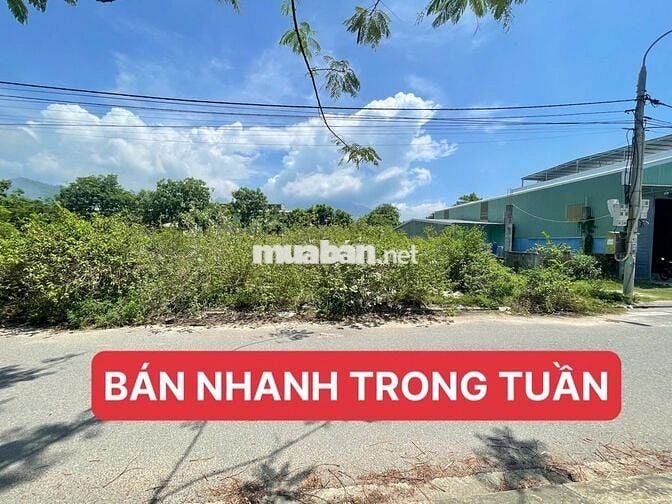 [CƠ HỘI ĐẦU TƯ] - Đất MT Kim Liên 2 sát khu TM Tự Do, cảng Liên Chiểu
