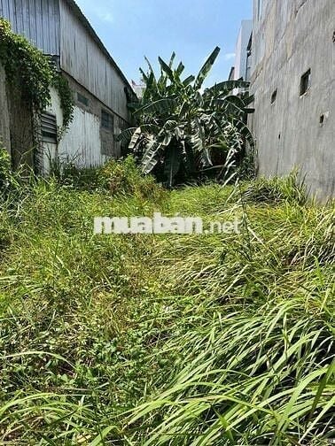 CHÍNH CHỦ SỔ HỒNG CÔNG CHỨNG TRONG NGÀY 126M2