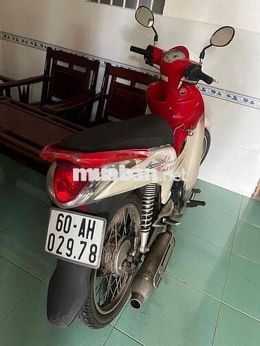 xe 50 học sinh