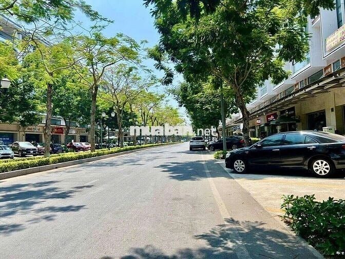 Cho thuê 2 căn không tường mặt tiền Nguyễn Thị Nhung làm văn phòng