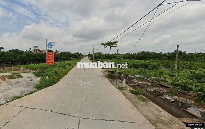 🏡 BÁN ĐẤT ĐẸP – GIÁ TỐT TẠI BÌNH LỤC, HÀ NAM 🏡