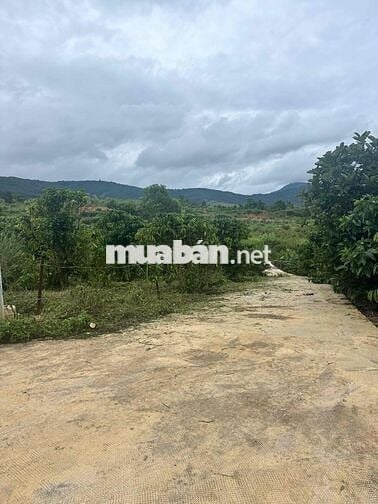 Chính chủ cần bán lô đất TT Nam Ban 163m2 Ven Đà Lạt