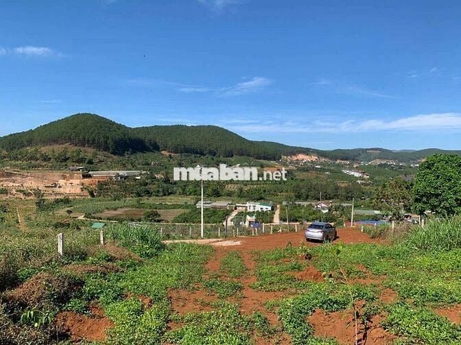 Bán 430m2 đất thổ cư cách địa phận TP. Đà Lạt 9km