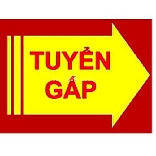 Hair salon Duc GoldenHair Q.1 cần tuyển Thợ Chánh, Thợ Phụ, Lương Cao