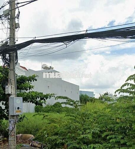 Đất ngon giá rẻ 1 tỷ 1255 cho 83,5m2 SHR,Đào Sư Tích,Phước Lộc,Nhà Bè