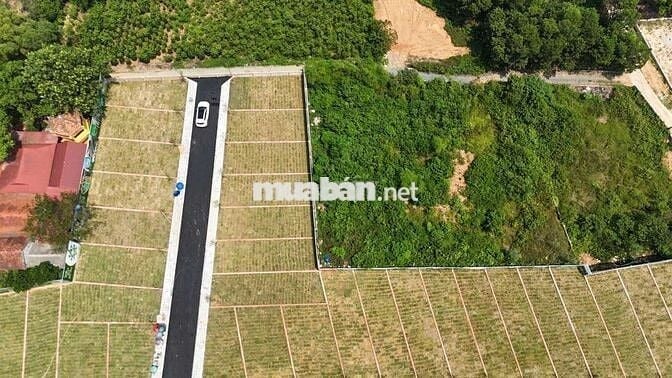 Đất phân lô F0 Hòa Lạc, Hà Nội, sổ vuông đẹp full thổ cư 100m2, 2,8 tỷ