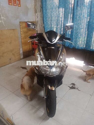 Xe zin đẹp a b 2012