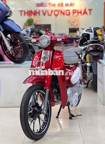 Yalim Cub 50cc KHÔNG CẦN BẰNG LÁI, TIẾT KIỆM XĂNG