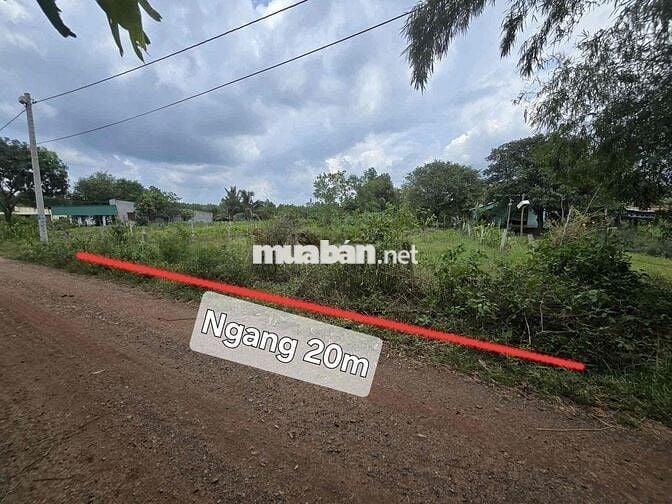 Lô đất 1000m ngay Hàm Tân Quốc Lộ 55 vào 200m thổ cư