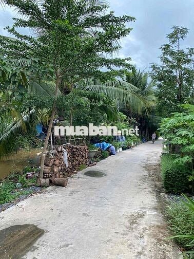 Chính Chủ cần bán lô đất 91m2 ODT full thổ cư 100%- TT Hiệp Hoà