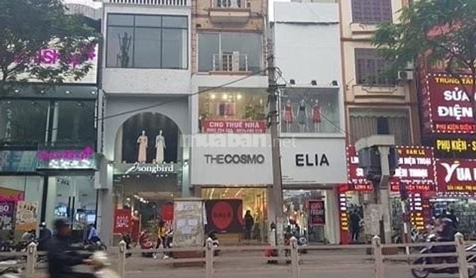 Siêu hót cho thuê 440m2, mt: 20m mặt phố Phạm Ngọc thạch, Đồng Đa 
