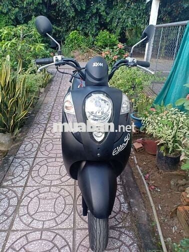 SYM elite 50 xe học sinh