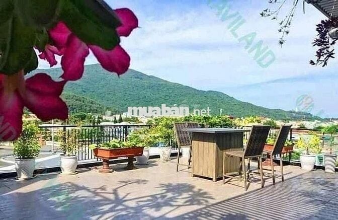CĂN HỘ 1PN THOÁNG CÓ HỒ BƠI - CHO NUÔI PET TẠI QUẬN SƠN TRÀ ☀️