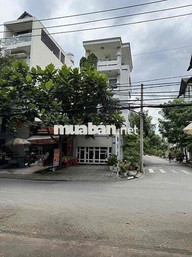 cho thuê nhà nguyên căn mặt tiền đường cao thị chính phú thuận quận 7