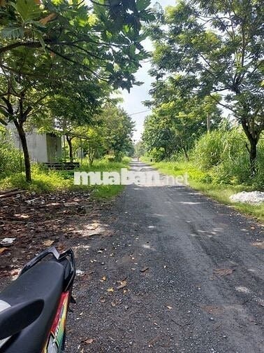Lô đất 500m2 đường số 6 khu dân cư Vĩnh Lộc B Bình Chánh