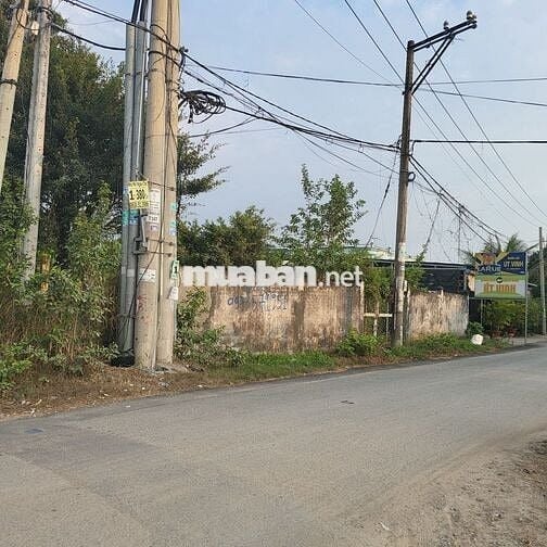Chính chủ bán gấp đất 2 mặt tiền 894m2 đường 10m ngay TT Bình Chánh