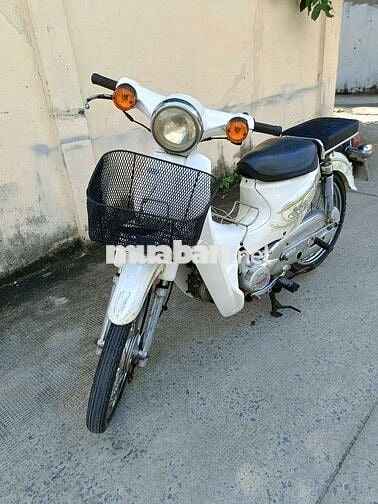 Cub 50cc
