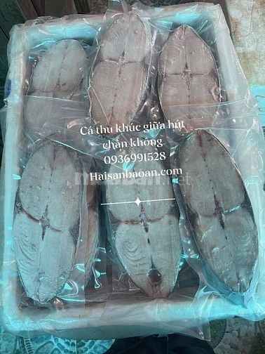 CÁ thu 1 nắng khúc giữa chuẩn hút chân không