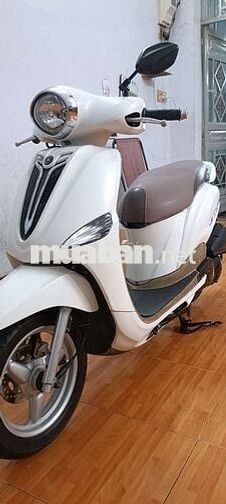 Nozza máy zin áo đẹp bs61 góp 0 đồng