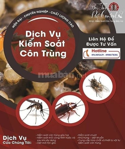 DỊCH VỤ KIỂM SOÁT CÔN TRÙNG GÂY HẠI