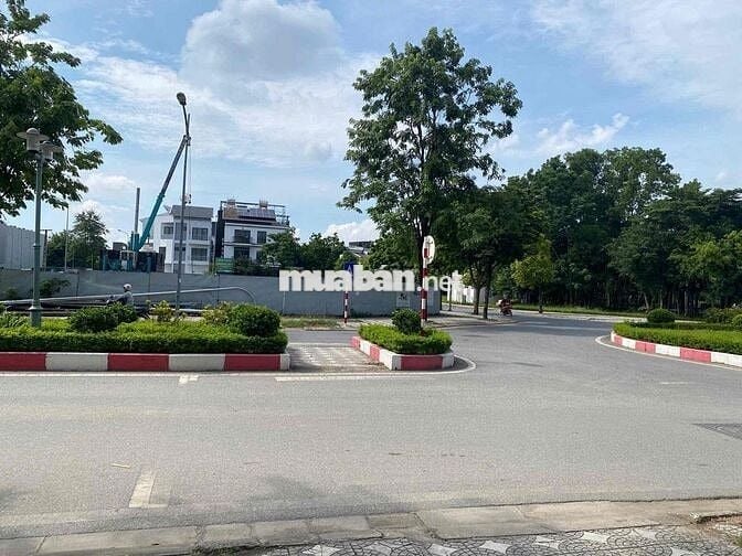 cho thuê 10 căn LK, biệt thự Trịnh văn Bô
