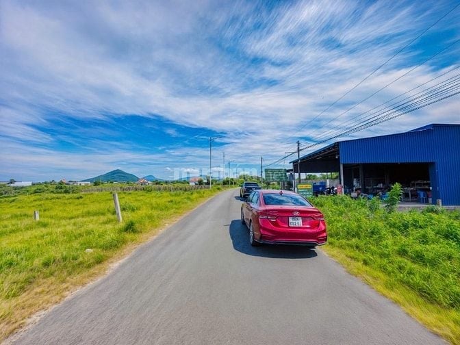 Đất Hiếm Lagi Mặt Tiền Đinh Công Tráng Full Thổ Cư Giá Siêu Rẻ Đầu Tư