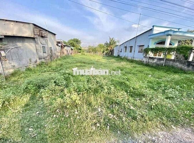 🌟 BÁN ĐẤT ĐẸP – XÃ NHUẬN ĐỨC (TLH) – CỦ CHI 🌟