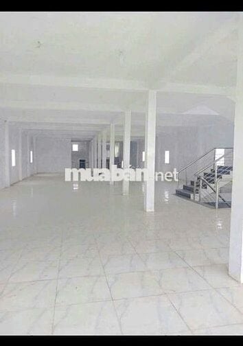 Cho thuê kho 3 lầu tổng diện tích 1600m2