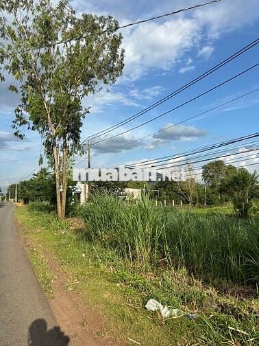 Bán Đất Thổ cư sổ riêng Núi Chứa Chan Xuân Lộc Đồng Nai