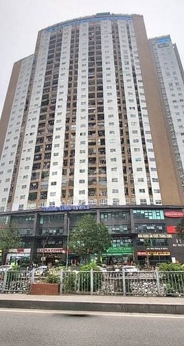 BQL cho thuê 481m2 tầng 3 tòa 33 mạc thái Tổ làm văn phòng, trung tâm 