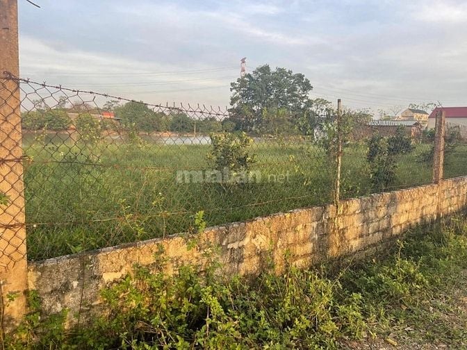 Bán 2000m đất Thổ cư tại Tiến Nông Triệu sơn 