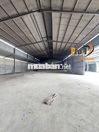 Cho thuê xưởng đường xe cont, gần Võ Nguyên Giáp, Phước Tân, Biên Hòa