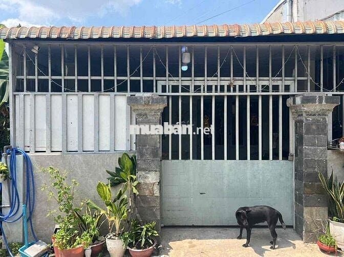 Nhà Đức Hoà Hạ 5x21m giá 1ty650 bao rẻ đường ô tô