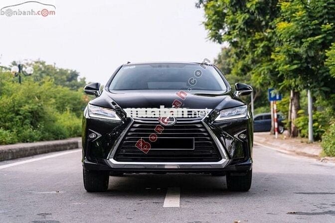 Lexus RX 300 2019 - 2 Tỷ 390 Triệu