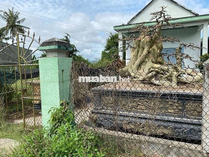 Bán đất kèm Nhà cấp 4 mặt tiền đường lớn hướng Phổ An đi cửa biển Mỹ Á