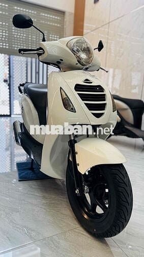 Honda Ps150i - BSTP - Cavet theo xe đầy đủ