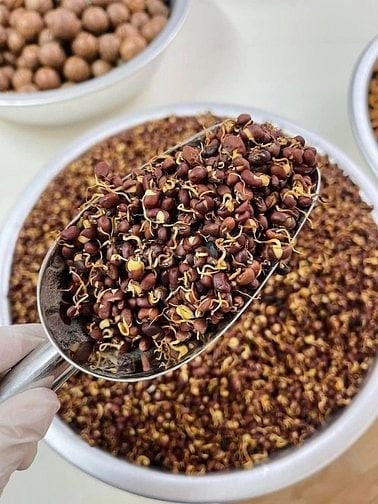 Bột ngũ cốc cao cấp NaNa - 100% thuần tự nhiên từ 15 loại đậu hạt