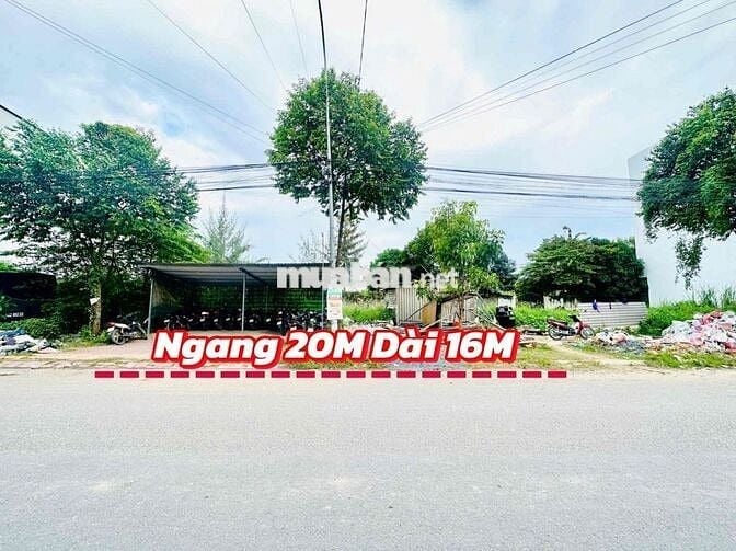 Bán 5 nền liền kề đường Trần Minh Sơn Khu đại học y dược Tp. Cần Thơ