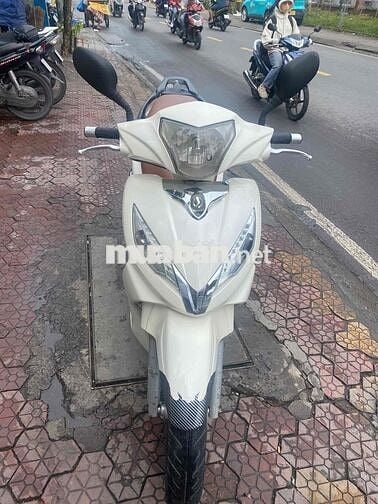 Xe Shark trắng mới tinh