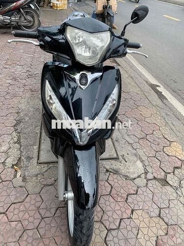 Xe Shark đen đầu zin