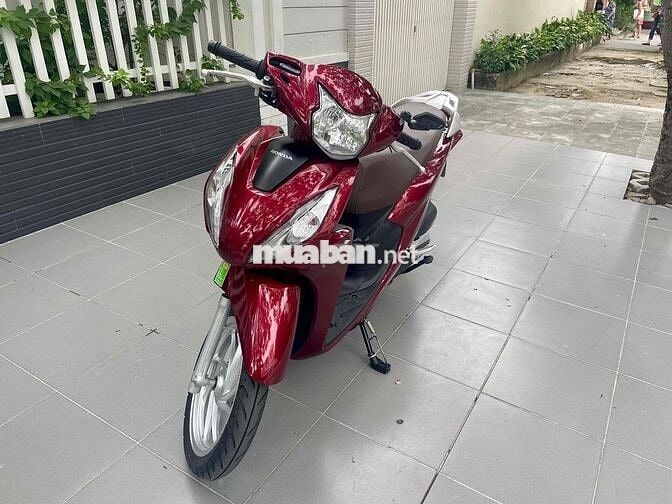 Xe vision 2024 zin nguyên mới