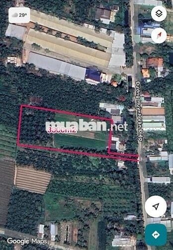 Bán đất ở Đường Huỳnh Văn Điệp-Chợ Gạo-Tiền Giang