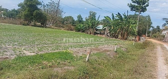 CHÍNH CHỦ MUỐN BÁN LÔ ĐẤT THỔ CƯ 100%