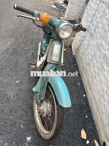 cub 79/50