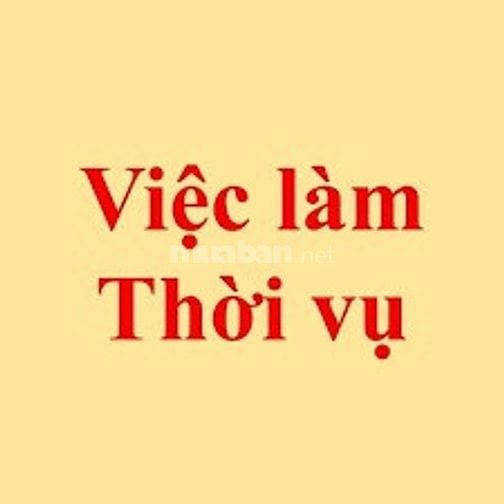 TUYỂN NAM THỜI VỤ 300k/ngày - TRẢ LƯƠNG THEO NGÀY 