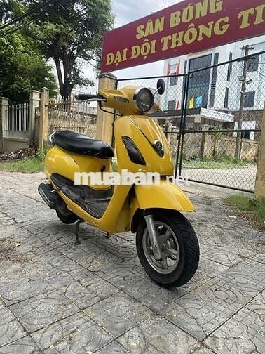 Atila elizabeth biển 43